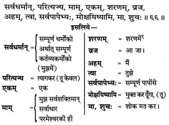 Bhagavad Gita Chapter 18 Verse 66