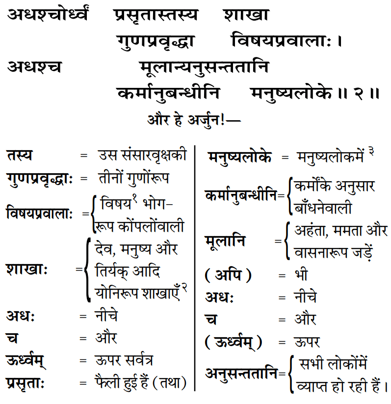 Gita 15.2