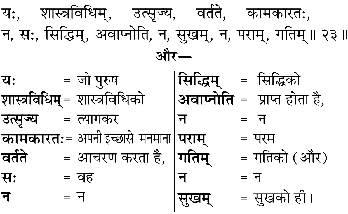 Gita 16.23