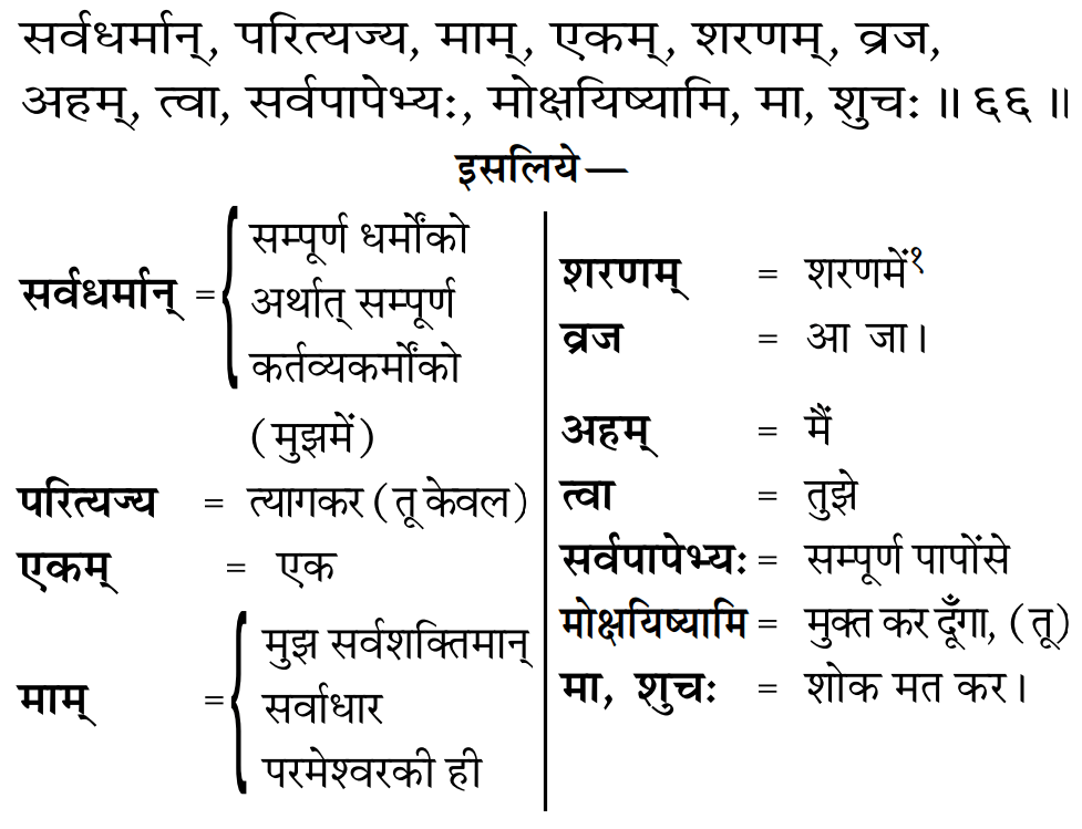 Gita 18.66