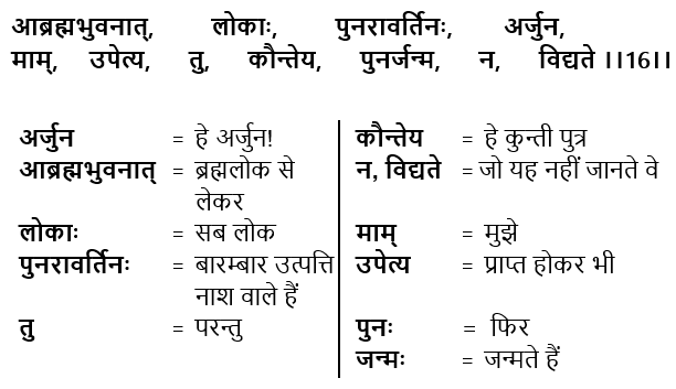 Bhagavad Gita Chapter 8 Verse 16
