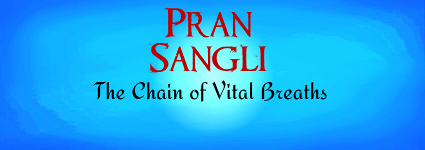 Pran Sangli Guru Nanak Dev Ji
